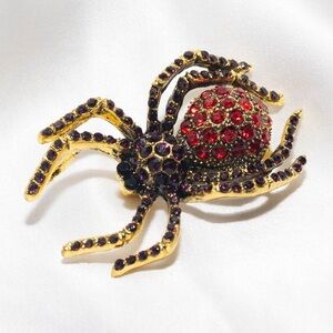 ✨Betsey Johnson Maven Rhinestone Spider Brooch